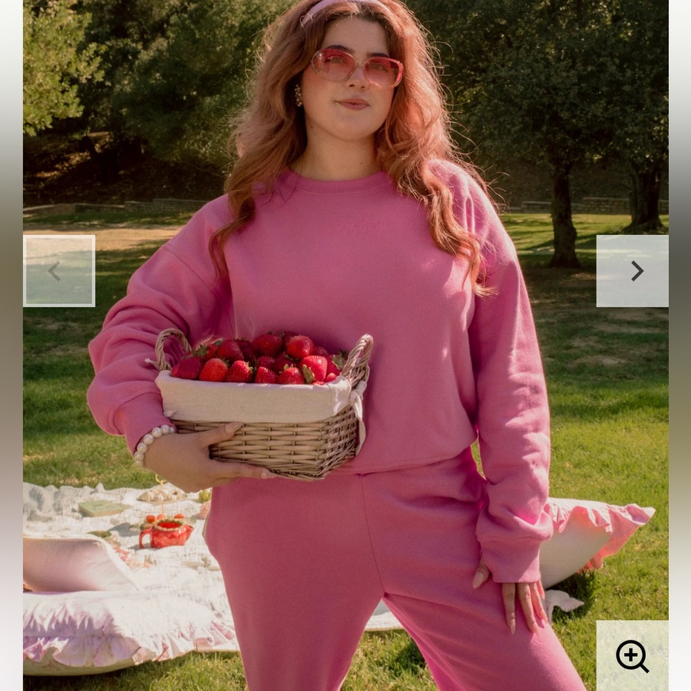 M. Fraise Bunny Hug Crew Neck Pullover Sweatshirt Fleece Long Sleeve Pink Medium - Picture 3 of 10